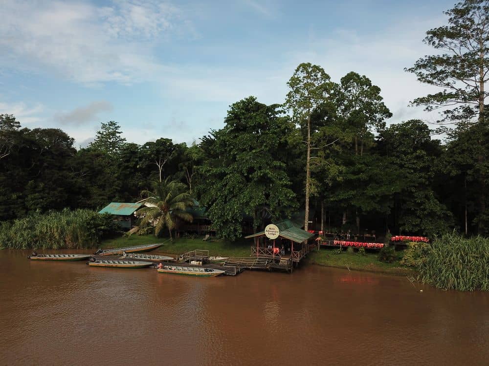 ทัวร์เต็มวันที่แม่น้ำคินาบาตัง (มื้อกลางวัน)