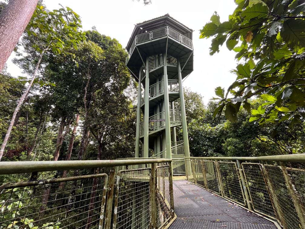 Full day Sepilok Orang Utan, Labuk Bay Proboscis Monkey Sanctuary, Sun Bear Tour + RDC (Lunch)4