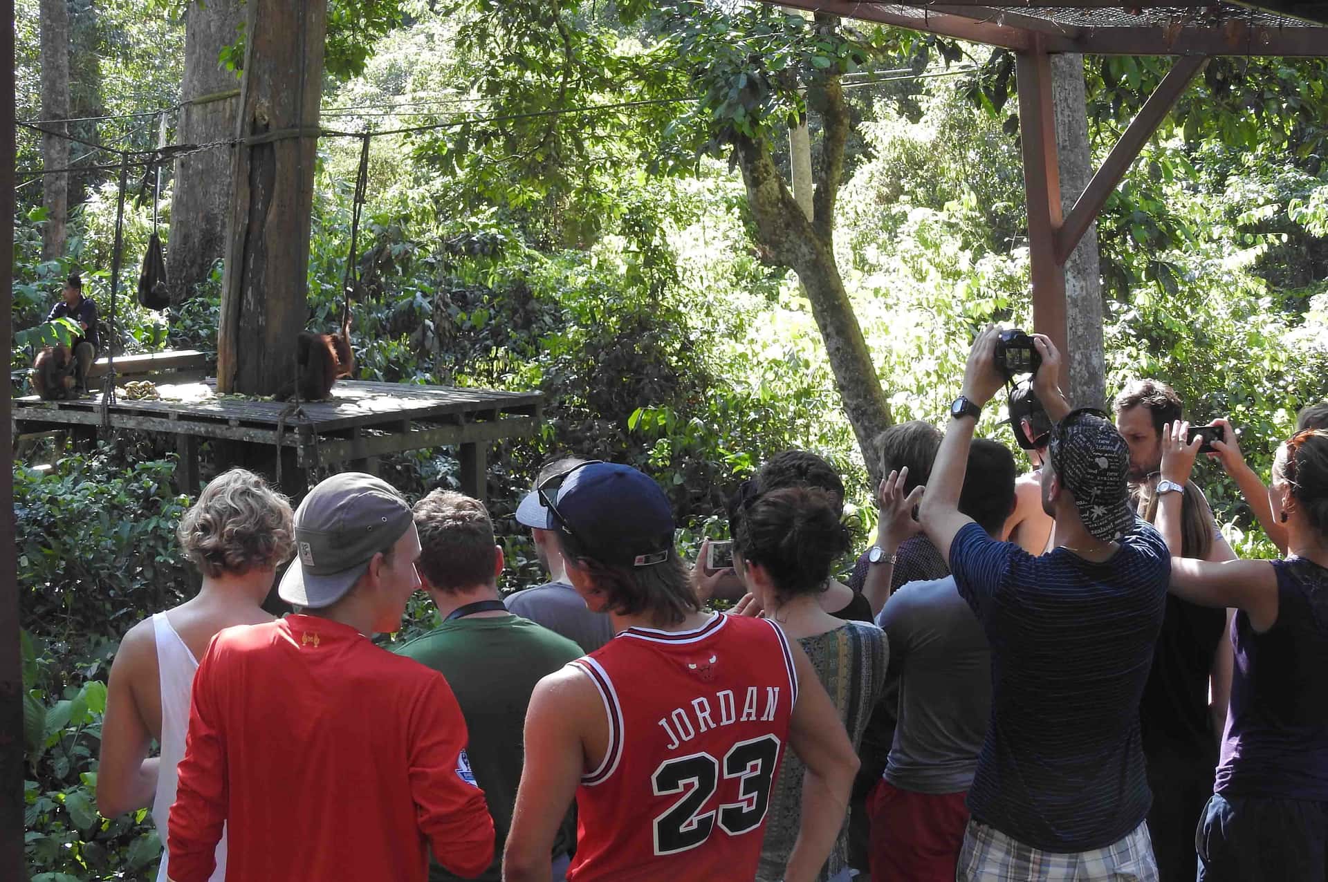 Half day Sepilok Orang Utan & Sun Bear Tour3