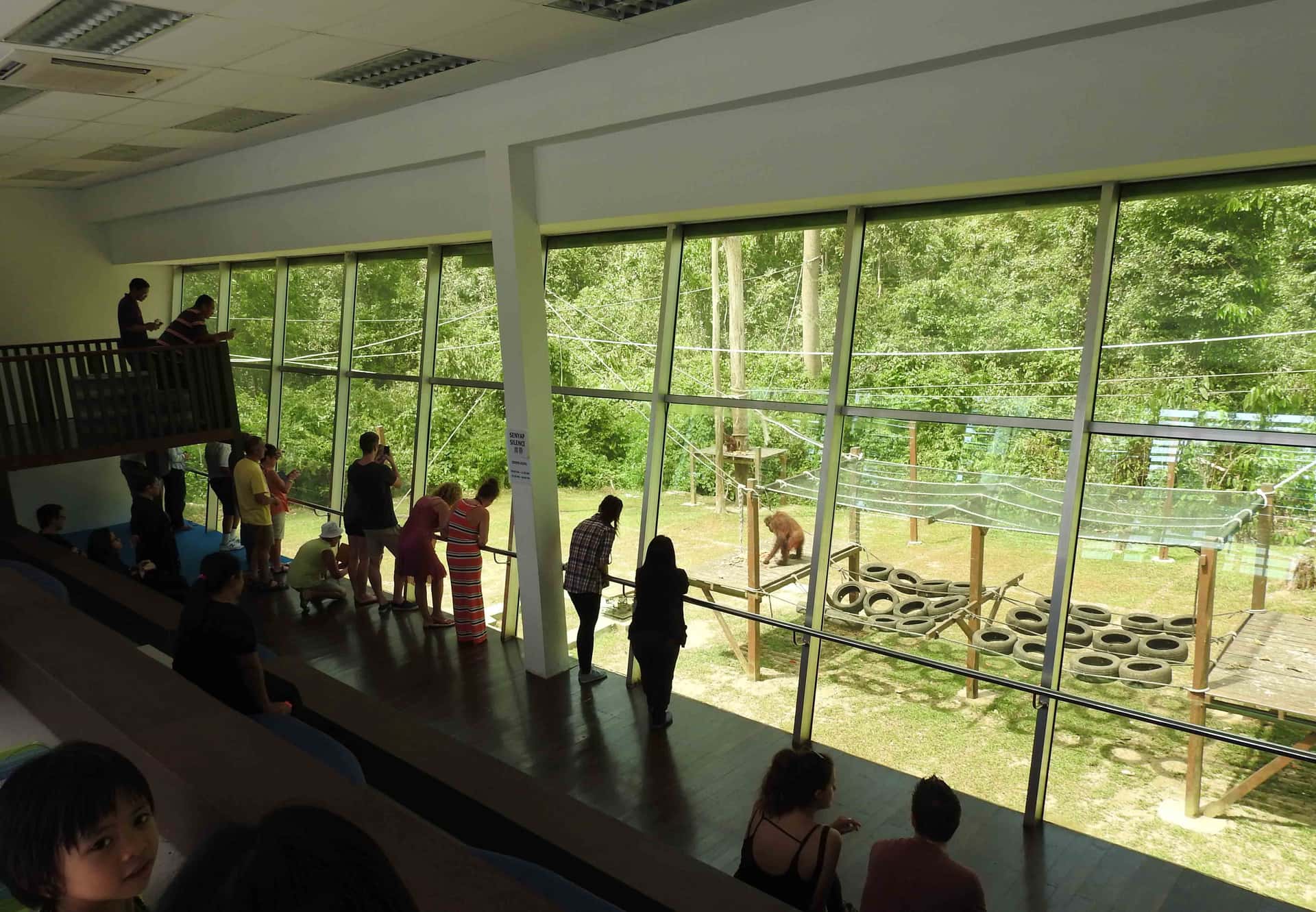 Half day Sepilok Orang Utan & Sun Bear Tour2