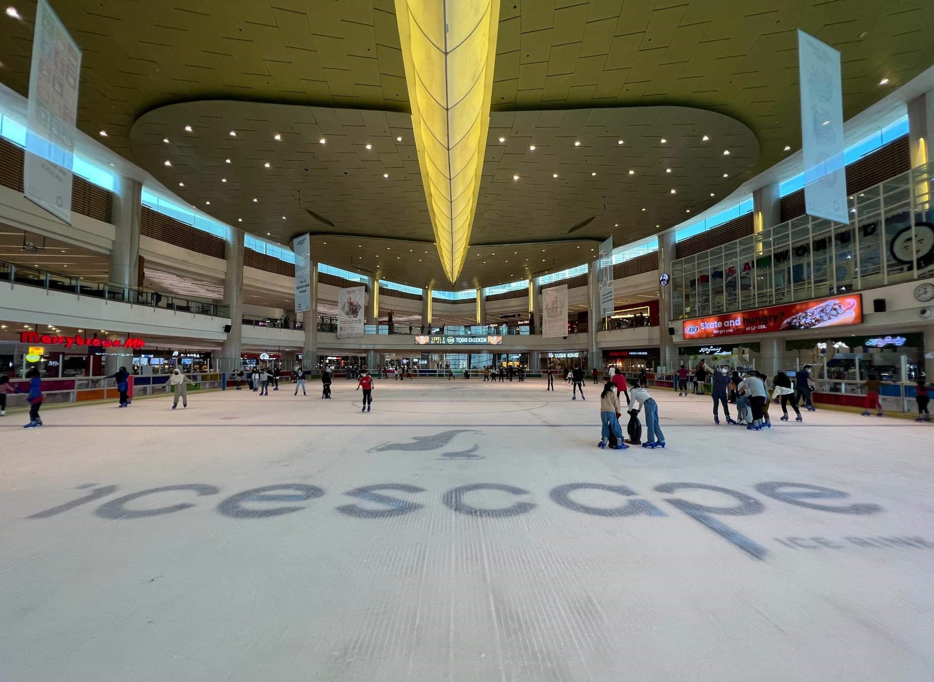 Ice Skating Experience at IOI City Mall in Putrajaya1