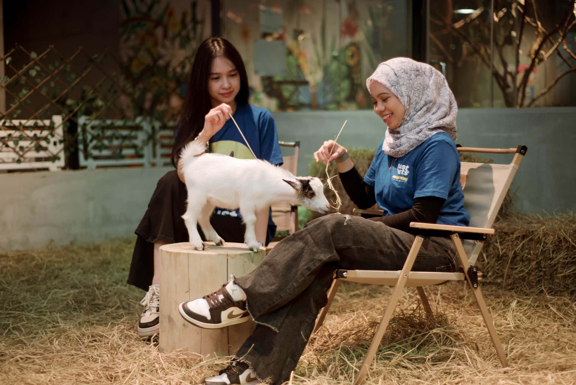 Just Farm @ Just Pets Megastore (KD)2
