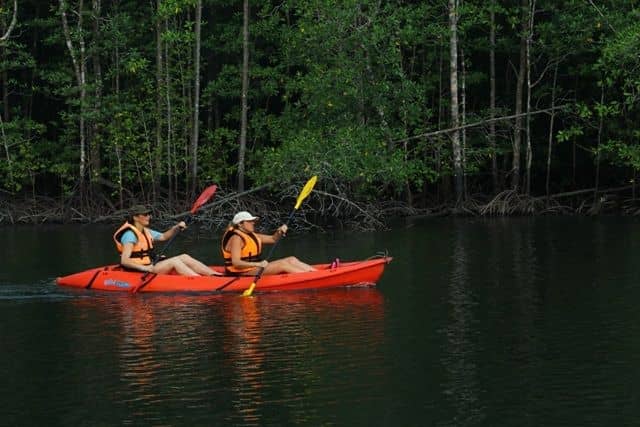 Kayaking Adventure & Swimming