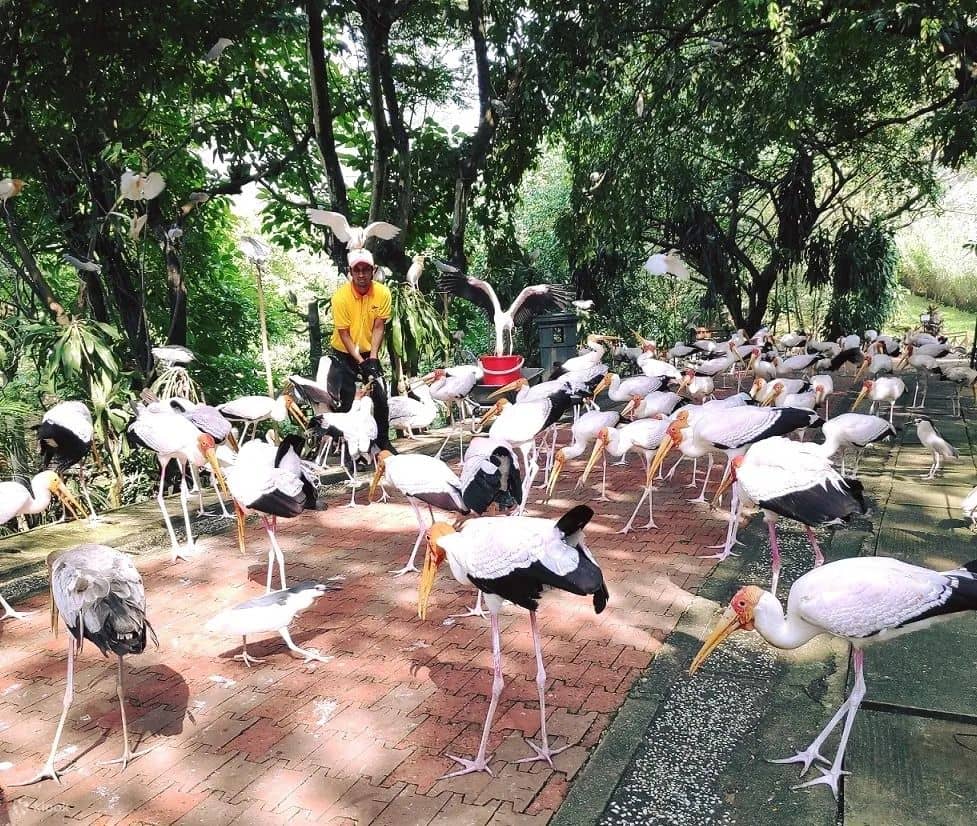 KL Bird Park Admission Ticket With One Way Transfer