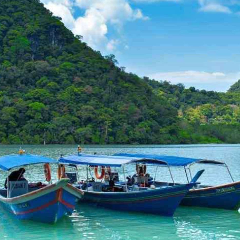 Langkawi Mangrove Tours Package