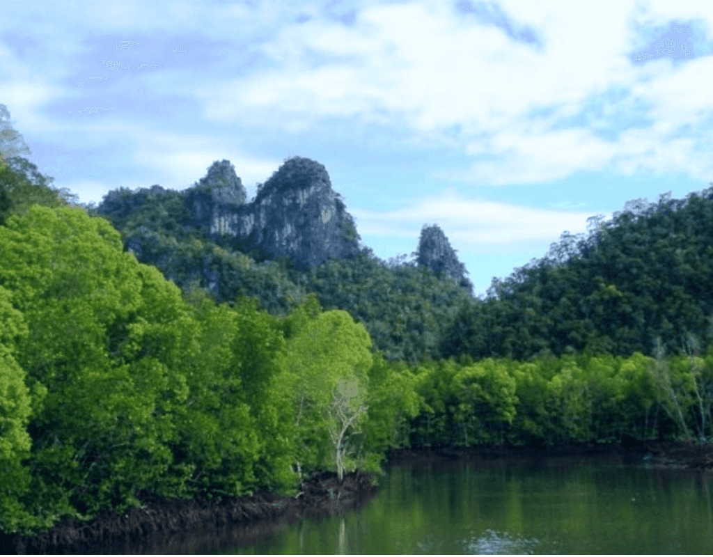 Langkawi Unesco Geopark Mangrove Cruise3