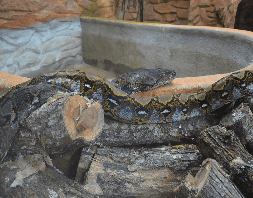 Langkawi WildLife Park1