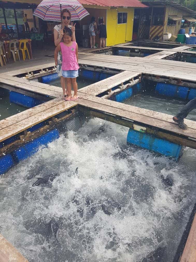แพ็คเกจพายเรือคายัคในป่าชายเลนราคาประหยัด3