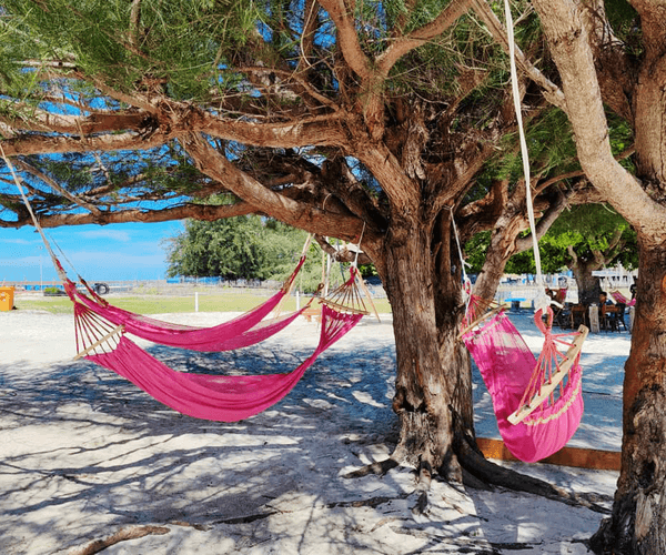 Mantanani Island Snorkeling Day Trip / Manta Combo Trip2