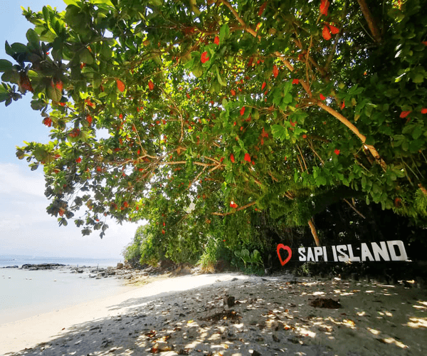 Manukan and Sapi Islands Excursion3