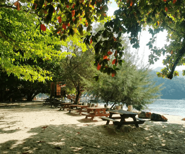 Manukan and Sapi Islands Excursion4
