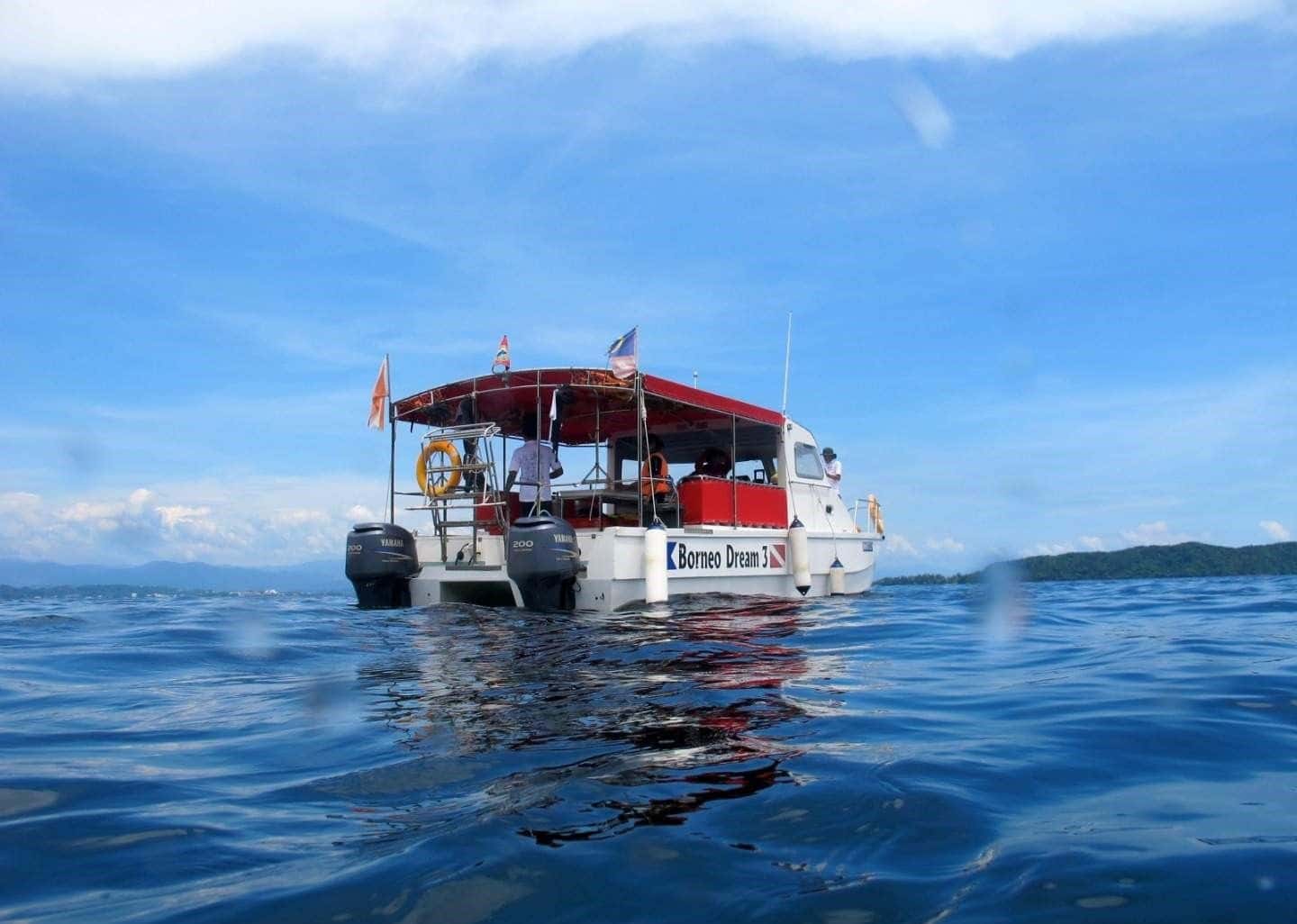 PADI Guided Snorkeling Experience in Tunku Abdul Rahman National Park2
