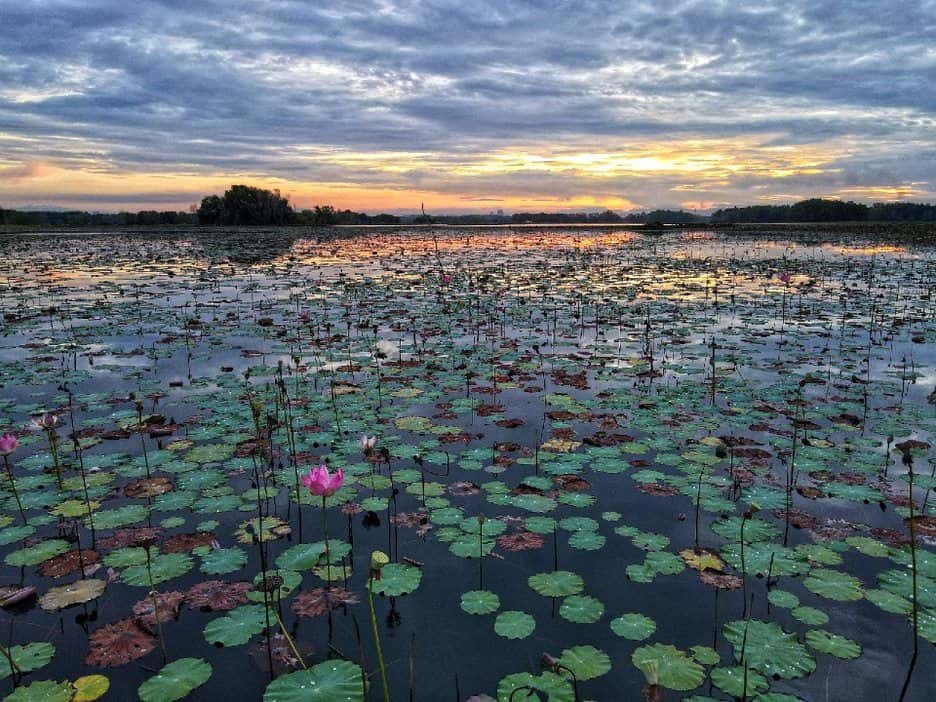Paya Indah Discovery Wetlands at Gamuda Cove, Selangor4