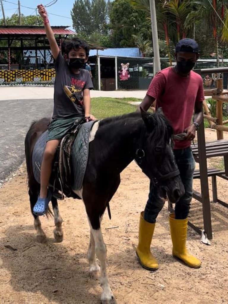 PD Ostrich Show Farm2