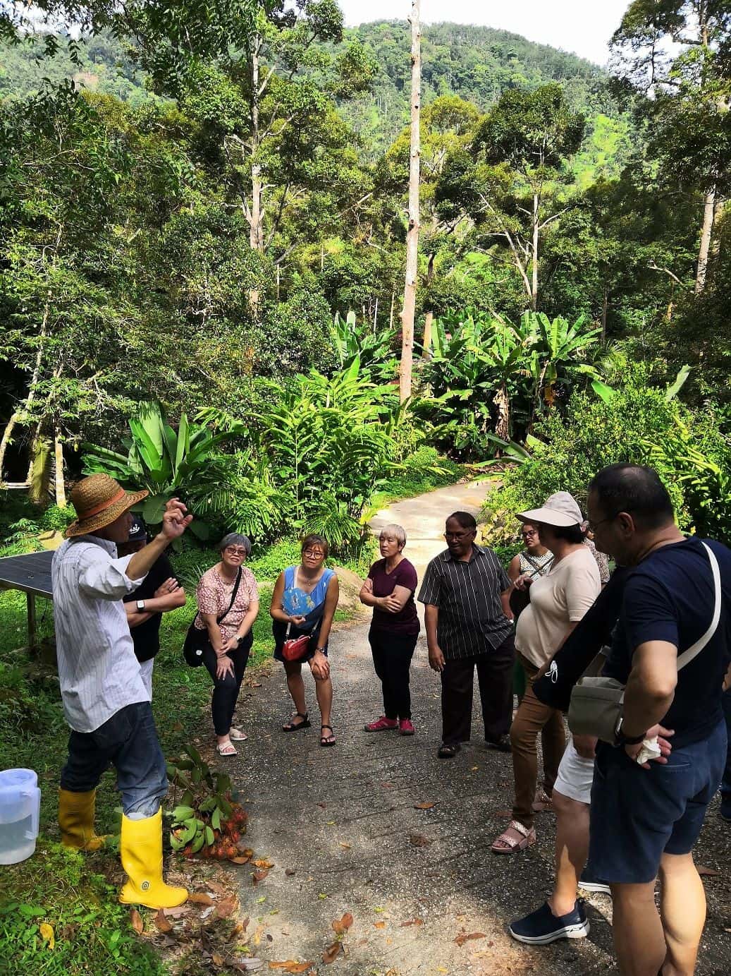 Penang Green Acres3