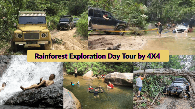 ทัวร์สำรวจป่าฝนแบบวันเดียวโดยรถ 4X4
