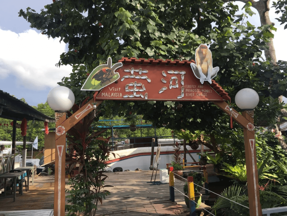 Sabah Kota Kinabalu: Binsuluk River Mangrove Forest One Day Tour