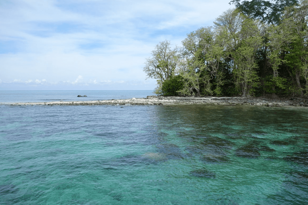 Sabah Kota Kinabalu: Pulau Tiga Survivor Island + Binsuluk River Mangrove Forest One Day Tour