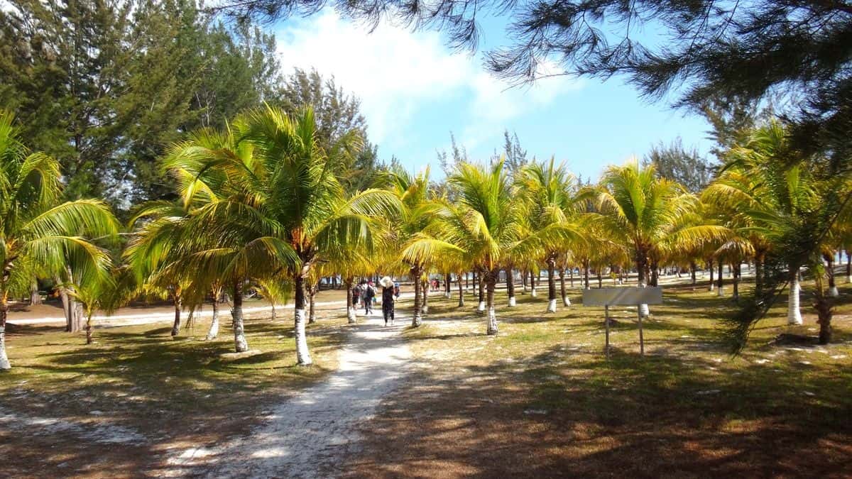Sabah Kota Kinabalu: RIA Mengalum Island Day Trip4