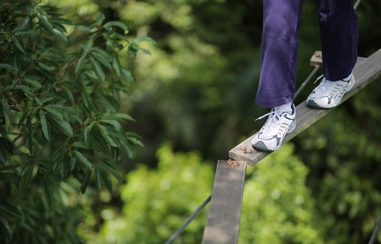 บัตรเข้าสวนผจญภัยสกายเทร็กซ์แอดเวนเจอร์ ลังกาวี (Skytrex Adventure Langkawi)1