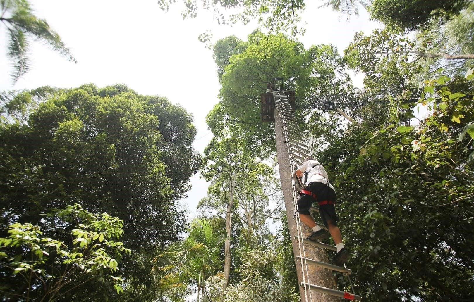 บัตรเข้าสวนผจญภัยสกายเทร็กซ์แอดเวนเจอร์ ลังกาวี (Skytrex Adventure Langkawi)2