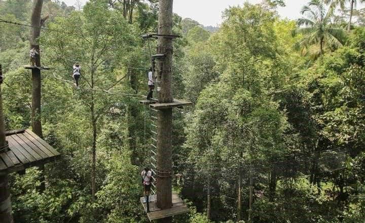 บัตรเข้าสวนผจญภัยสกายเทร็กซ์แอดเวนเจอร์ ลังกาวี (Skytrex Adventure Langkawi)4