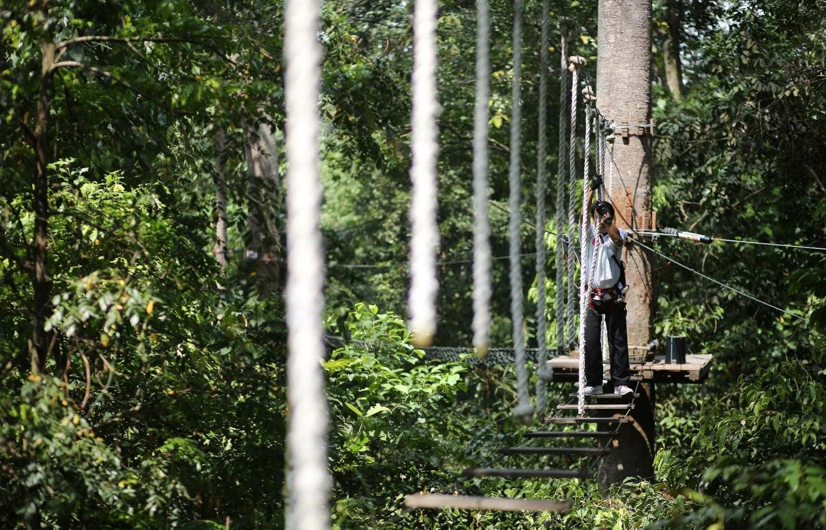 บัตรเข้าสวนผจญภัยสกายเทร็กซ์แอดเวนเจอร์ ลังกาวี (Skytrex Adventure Langkawi)3