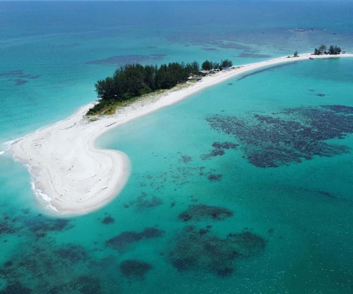 Survivor Island Jungle Trek & Snorkeling 1 Day Tour2