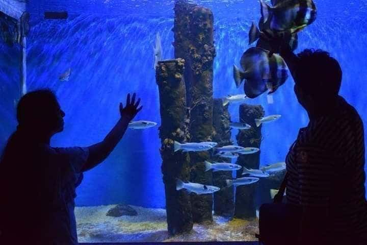 Underwater World Langkawi4