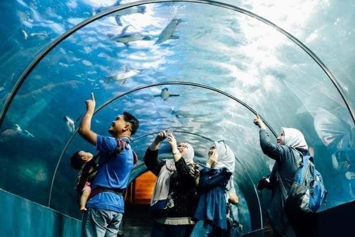 Underwater World Langkawi3