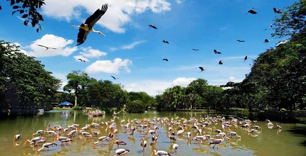บัตรเข้าสวนสัตว์เนการา | มาเลเซีย (Zoo Negara)1