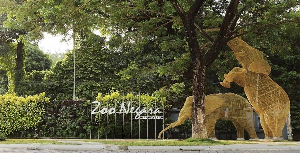บัตรเข้าสวนสัตว์เนการา | มาเลเซีย (Zoo Negara)