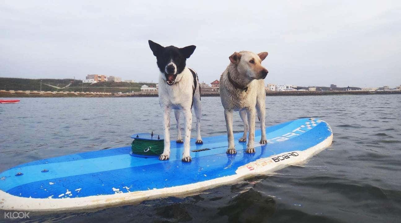 3-in-1 Water Sports Experience2