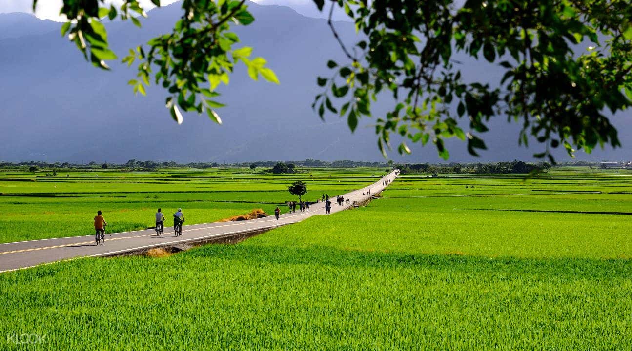 4D3N Hualien East Coast Railway Tour from Taipei2