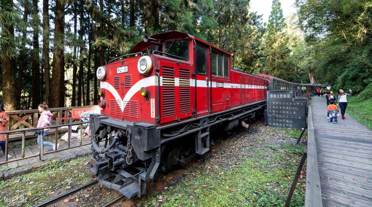 Alishan Forest Railway 2 Day Tour1