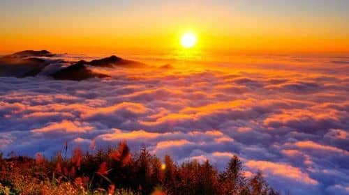 Alishan Forest Recreation Area Ticket