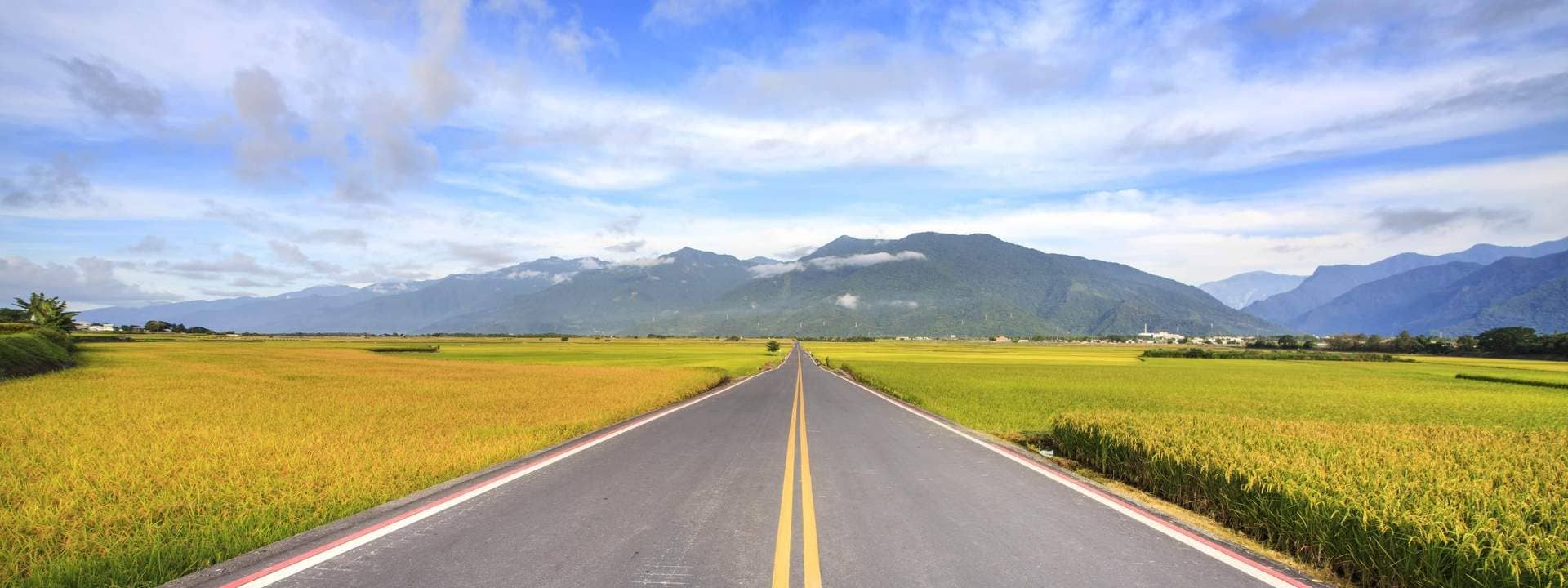 Brown Boulevard, Paradise Road, and Luye Tea Hill Guided Day Tour