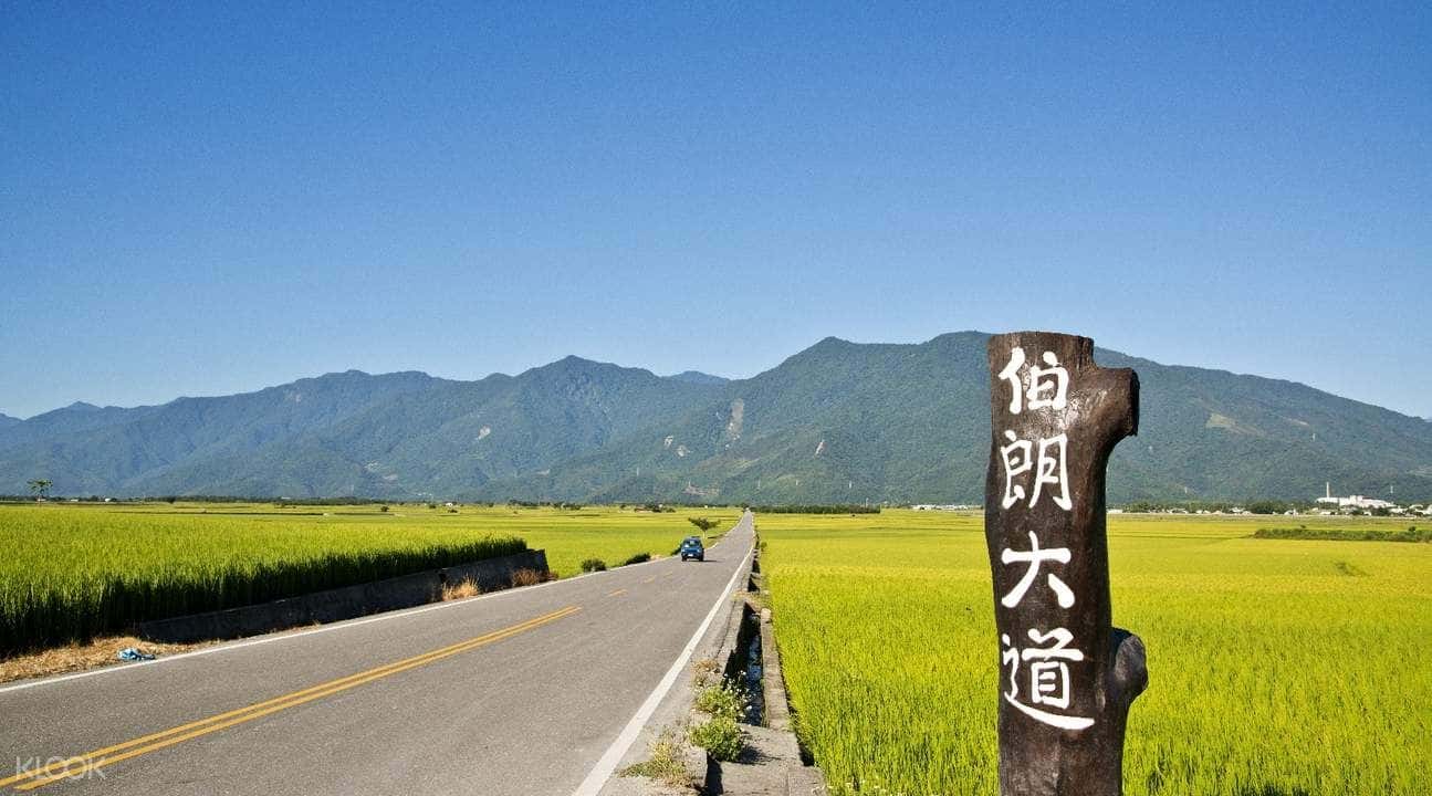 Brown Boulevard, Paradise Road, and Luye Tea Hill Guided Day Tour1