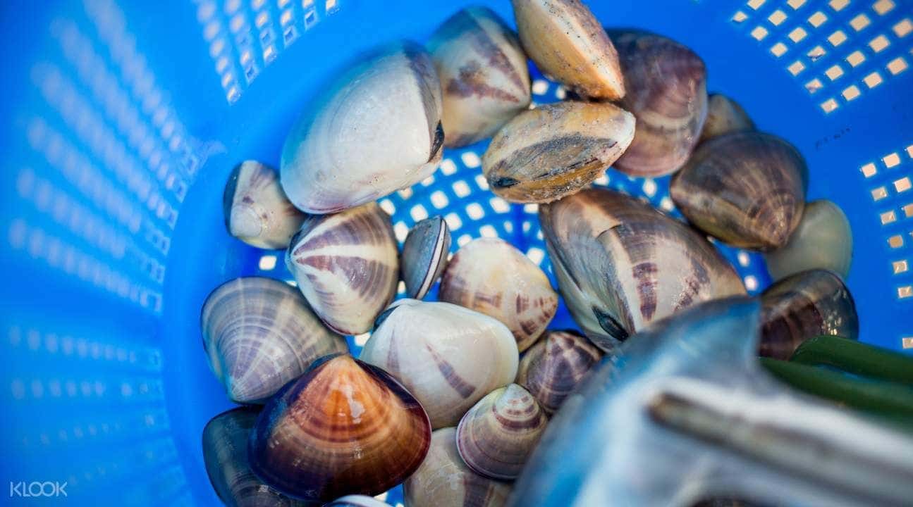 Fishing Experience in Kinmen2
