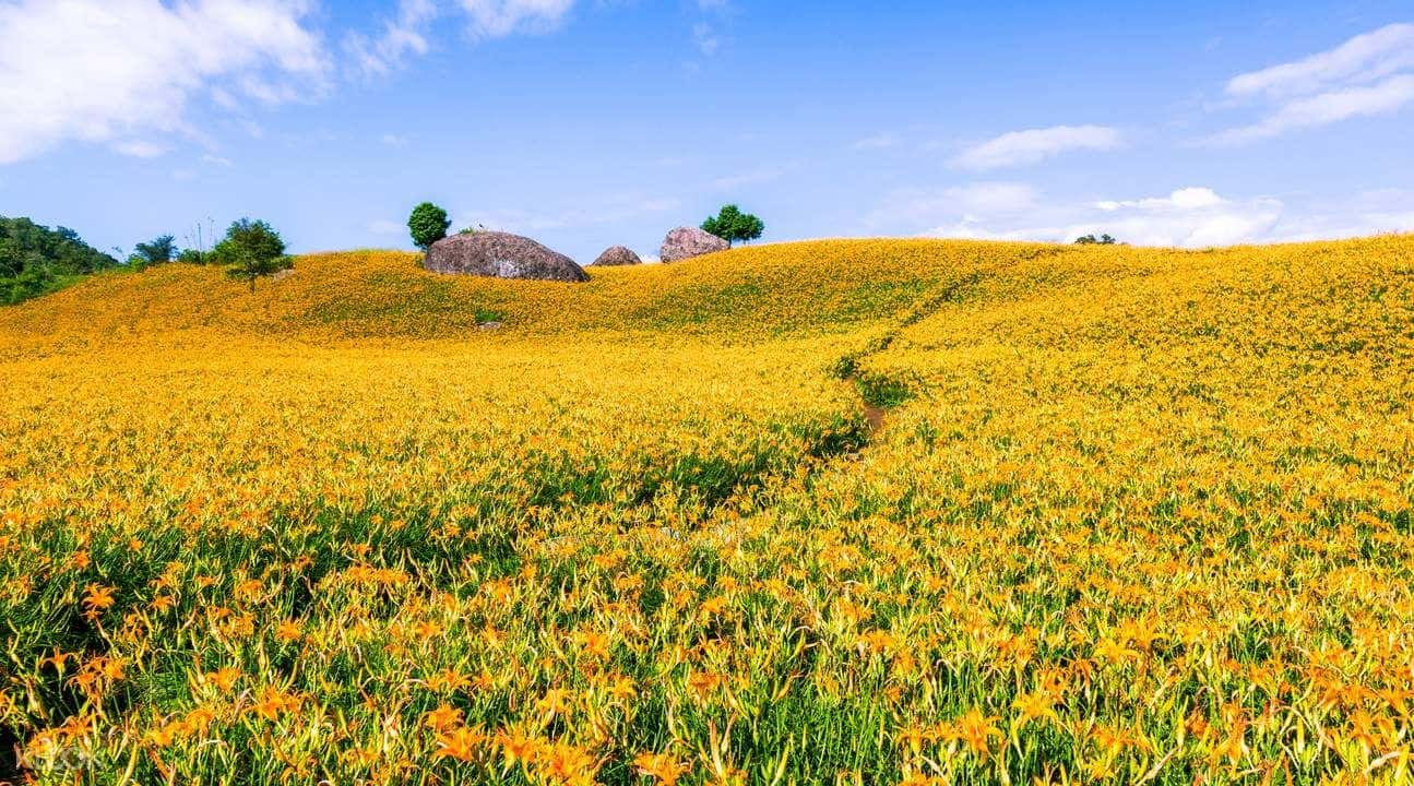 บริการรถเช่าส่วนตัวพร้อมพนักงานขับรถสำหรับภูเขาชินเขอซาน หรือ ภูเขาซิกตี้ร็อค3