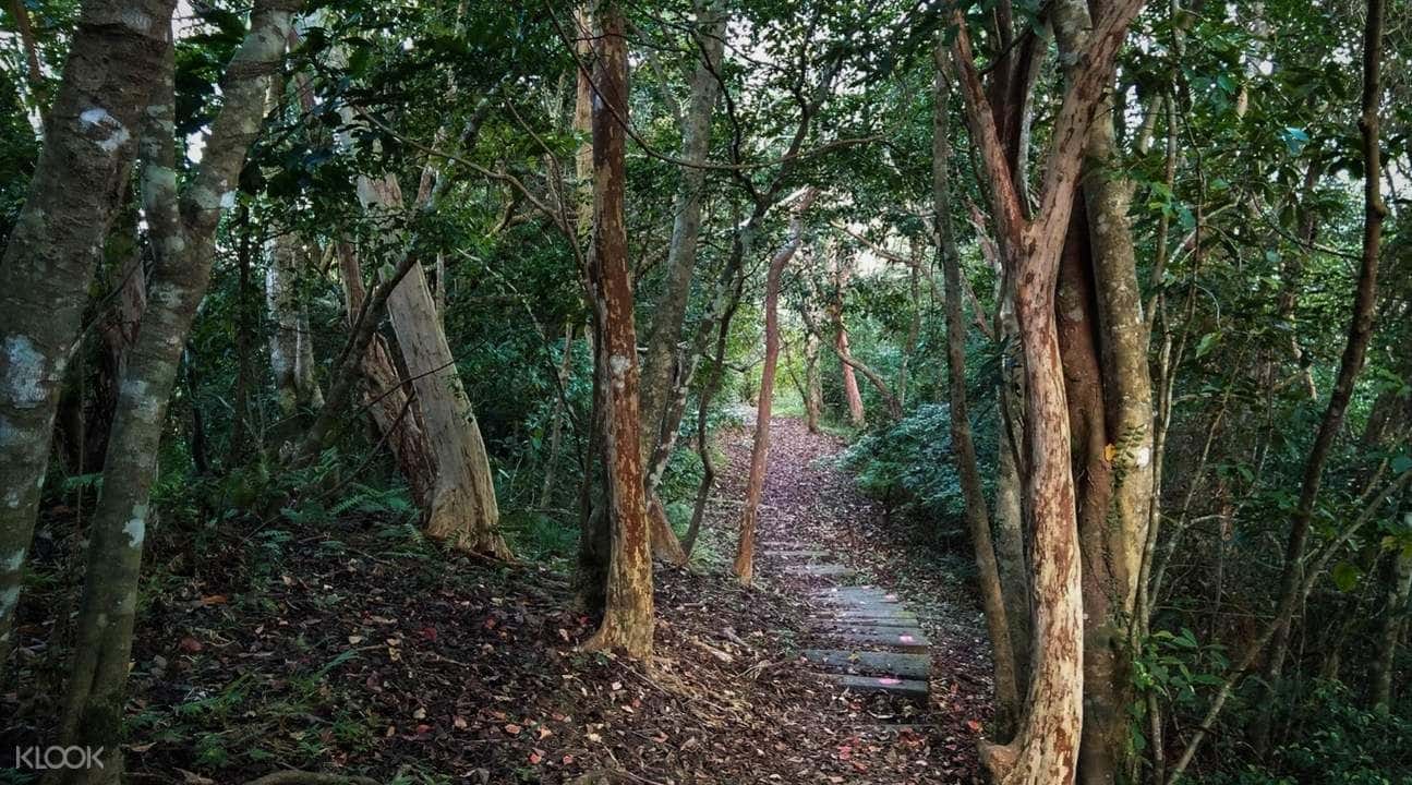 Hualien Seaboard Mountain Range Hiking Tour1