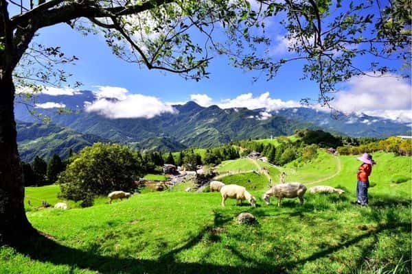Nantou Fun Pass3