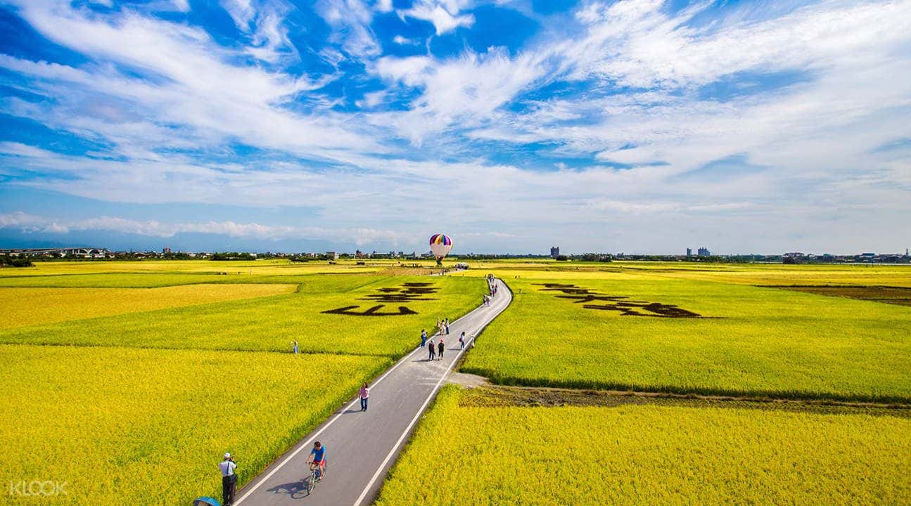 ทัวร์เช่ารถส่วนตัวหลายเมืองในไต้หวัน3