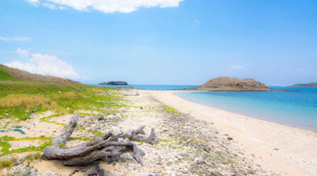 ทัวร์ดำน้ำตื้นที่เกาะจินกัวสีในเผิงหู1
