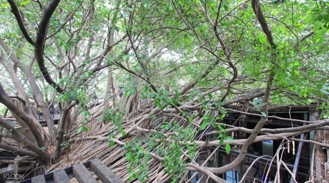 ทัวร์สถานที่ท่องเที่ยวคลาสสิกในไถหนานหนึ่งวัน3
