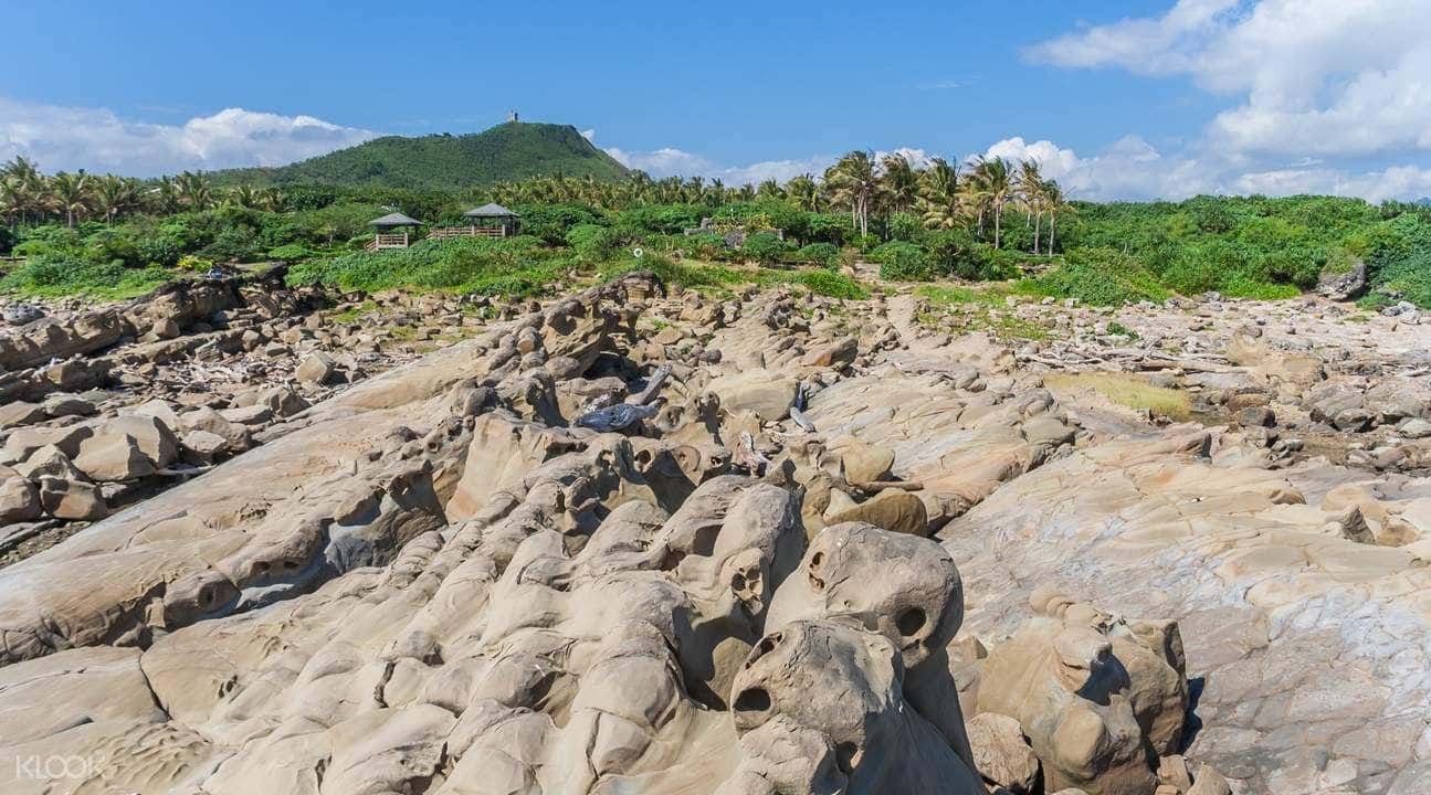Taitung East Coast Guided Nature Tour2