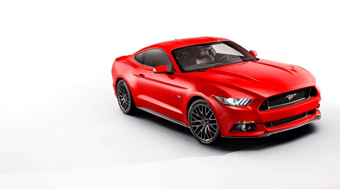 Taiwan Premium Car Rental (Taoyuan - TPE Airport Pick Up)1