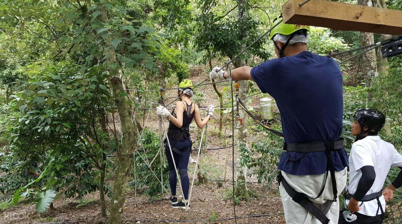 Tree Top Adventure in Hualien1