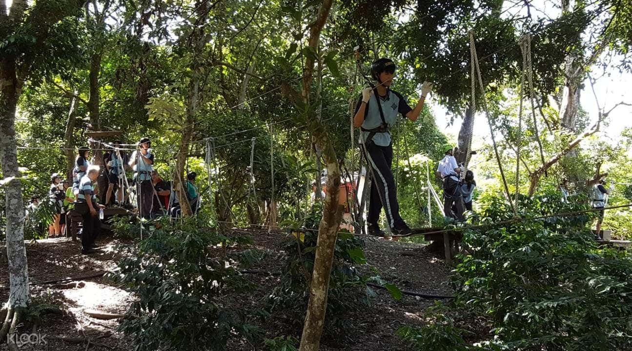 Tree Top Adventure in Hualien4
