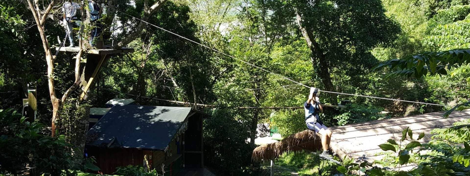 Tree Top Adventure in Hualien